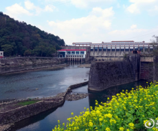 春游记丨“杏”好有你 同行入画