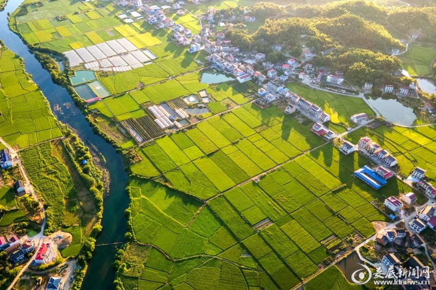 湄水河畔 李建新摄