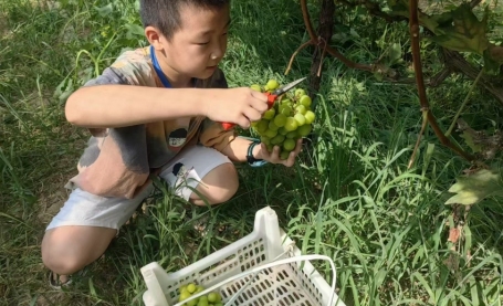 组图丨同样是暑假 看别人家的“神兽”有啥不一样 