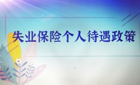 视频丨失业保险个人待遇政策解读