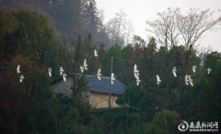 图片5